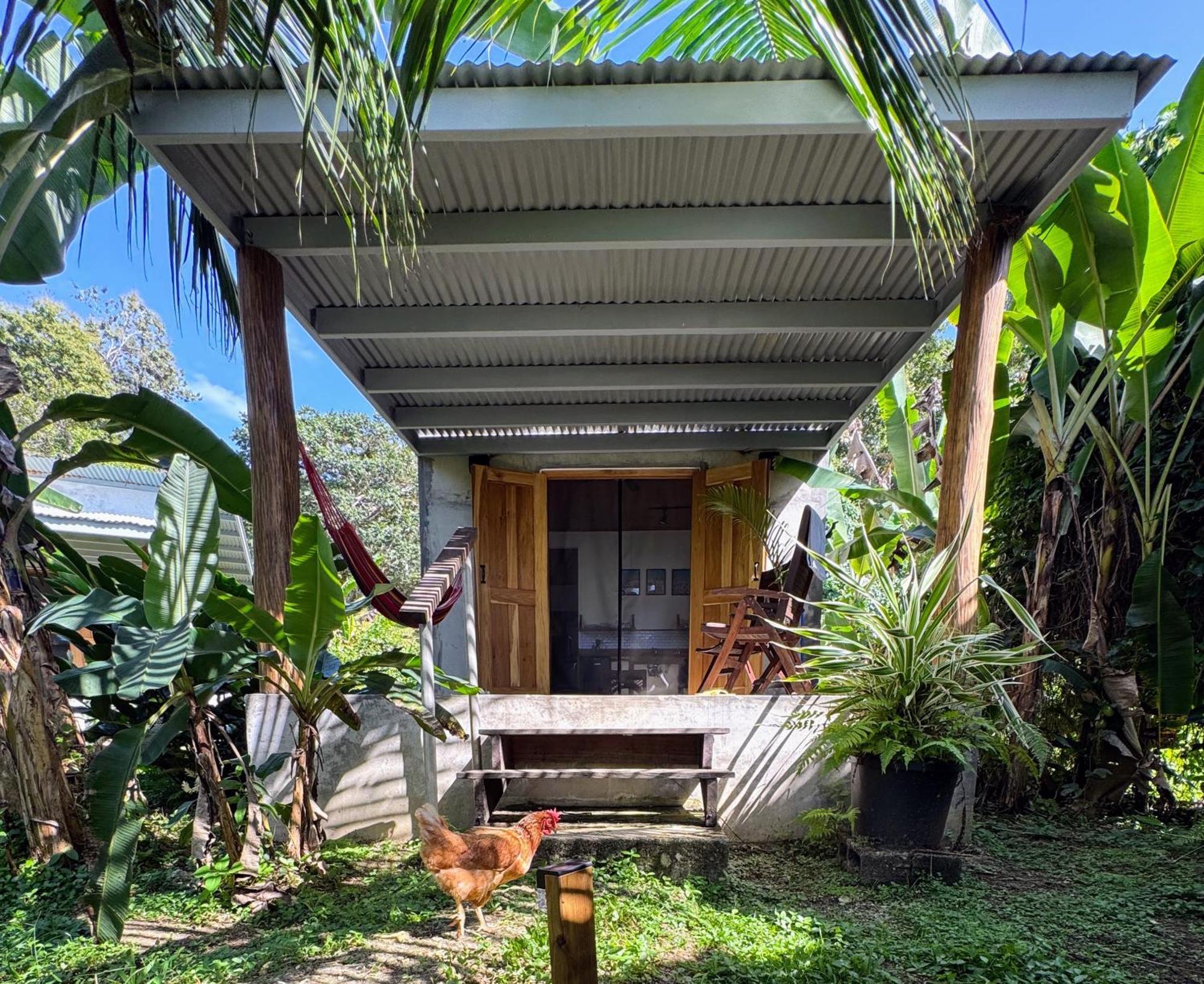 Casa Salvaje Vacation Rentals Bocas del Toro Exterior photo