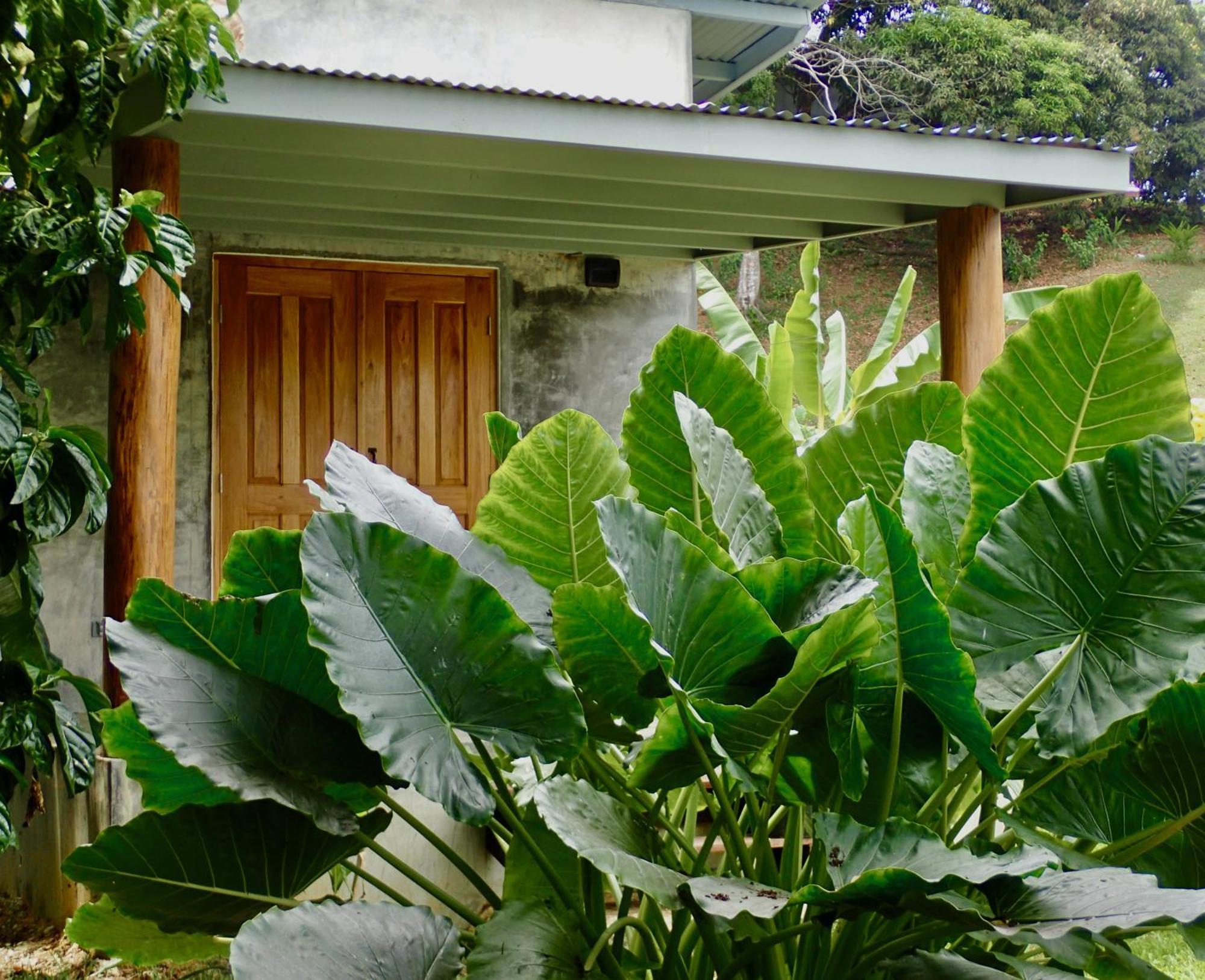 Casa Salvaje Vacation Rentals Bocas del Toro Exterior photo